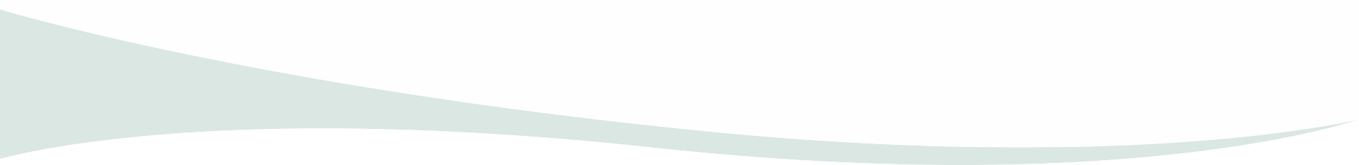 Section Divider